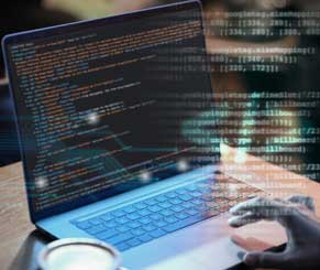 IT developer